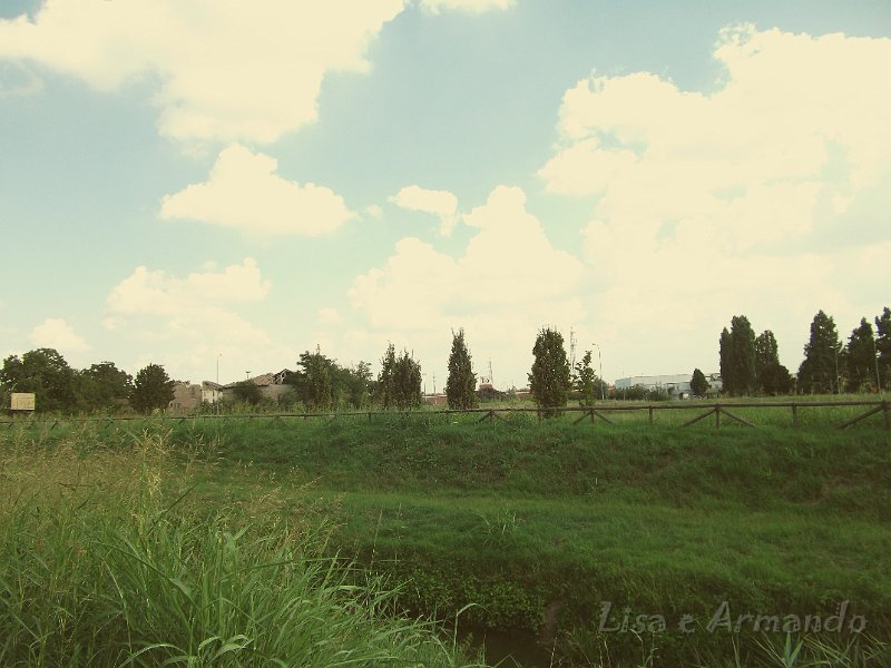 verso felonica 667.JPG